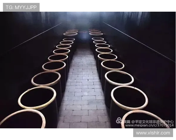 传统体育项目申遗保护文化基因